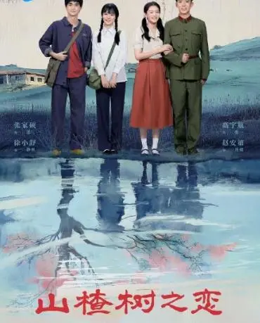 《山楂树之恋2025》：纯爱永不落幕，致敬经典，重塑时代下的青春记忆